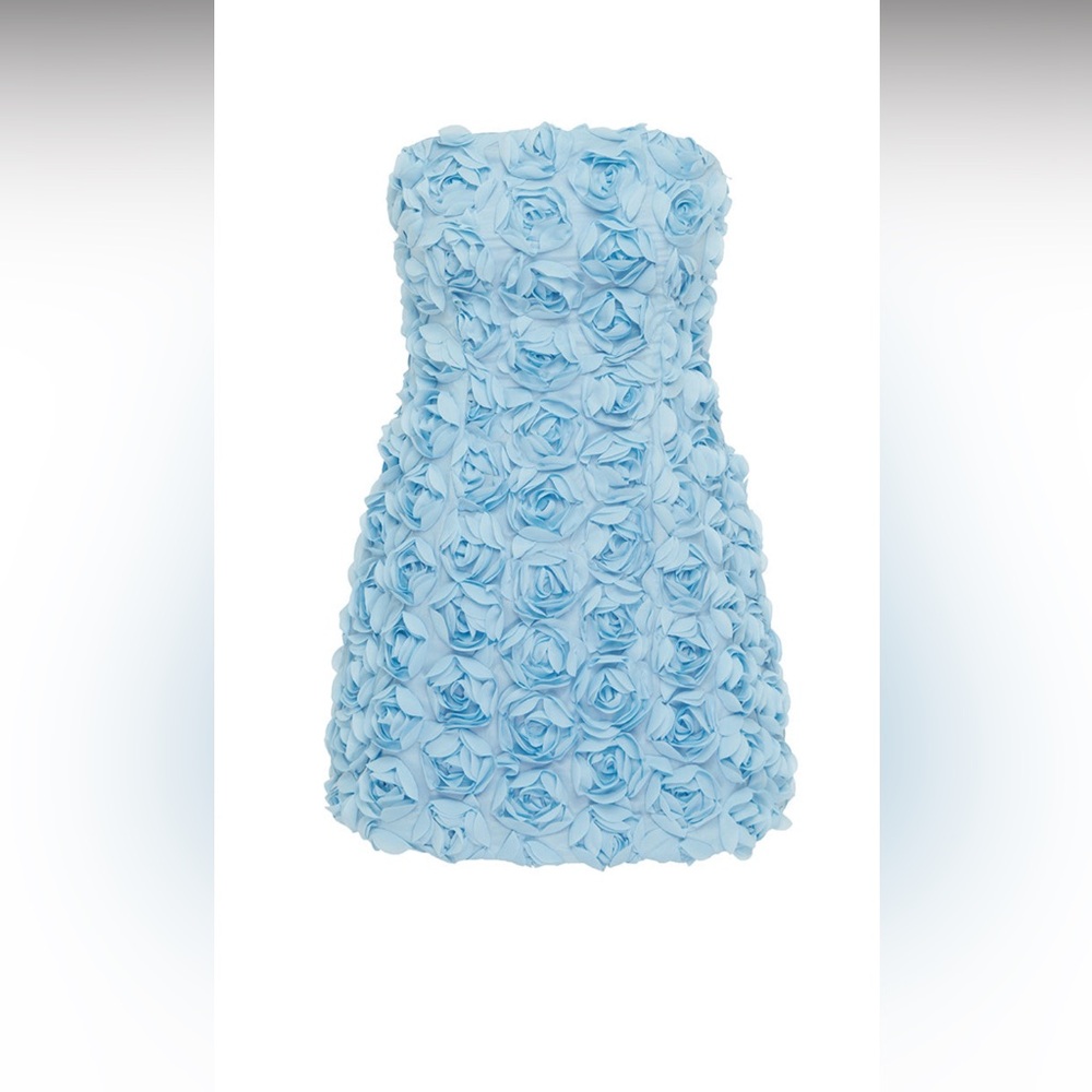 RUNAWAY THE LABEL
BLOOM MINI DRESS - BLUE - RETAIL $159 - Picture 7 of 10